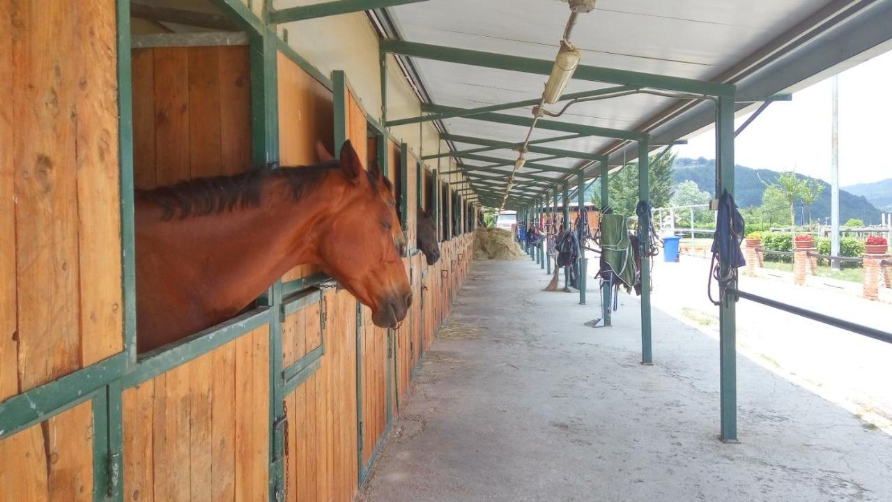 Relais Black Horse Millesimo Bagian luar foto